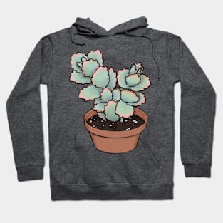 Lavender Scallops Kalanchoe Fedtschenkoi Succulent Sketch Hoodie